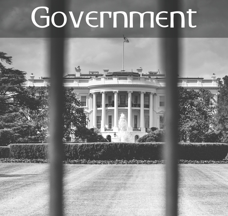 Government