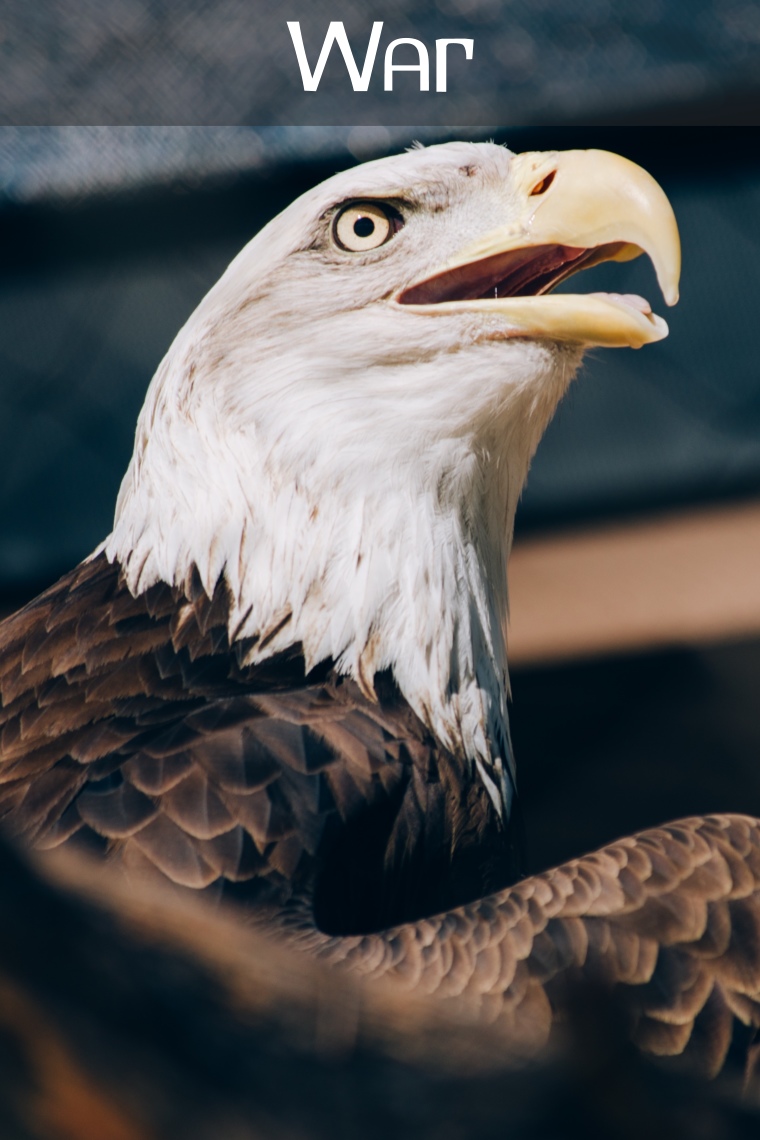 War